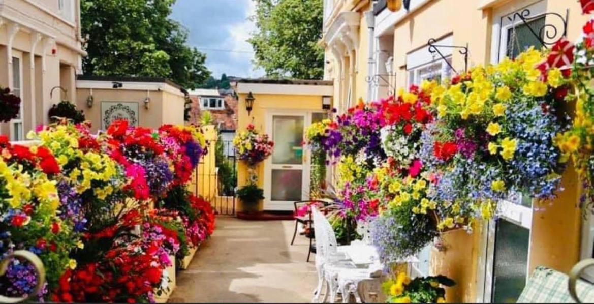 Crowndale Torquay - Exclusively For Adults B&B 외부 사진