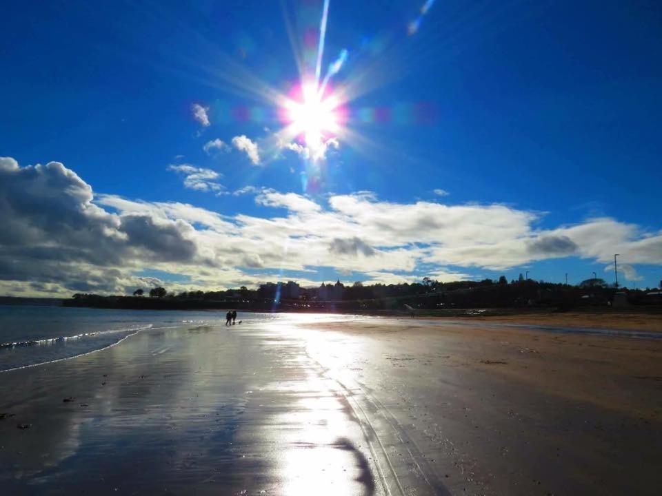 Crowndale Torquay - Exclusively For Adults B&B 외부 사진